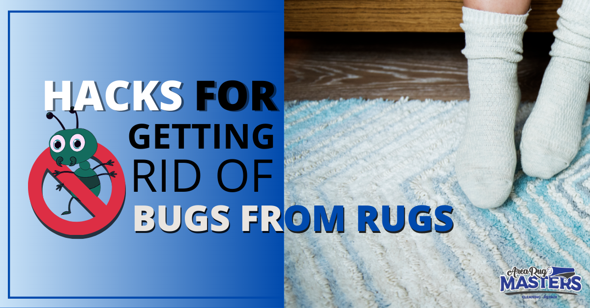 Featured image for “How to Get Rid of Rug Bugs: Lesser- Known Tips and Hacks”