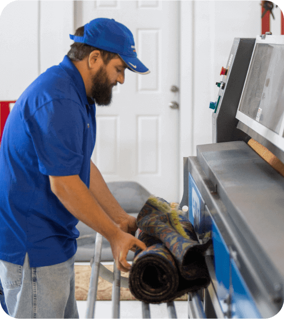 area rug carpet cleaning