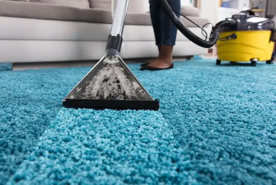 Featured image for “Winter Carpet Cleaning: Surprising Reasons to Do It Now”