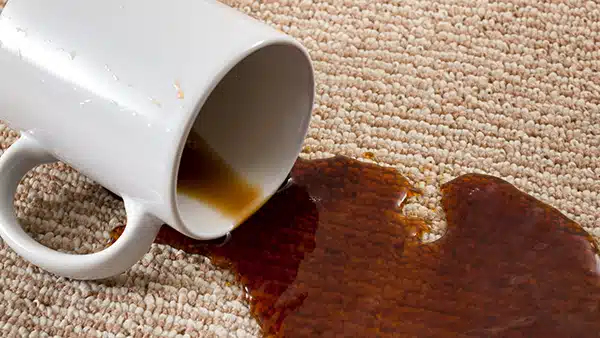 Professional Persian Rug Cleaning